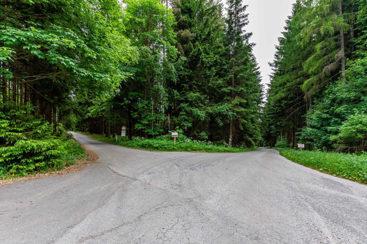 Lipno View - Blue 6 Apartment *